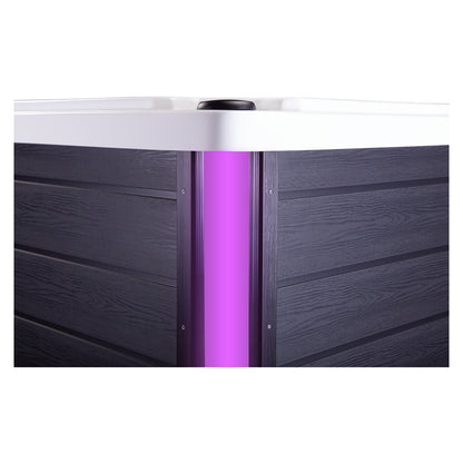 Wellis Wibe Moana Cinema 3 places Ice White — détail du spa